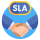 Service Level Agreements (SLA) Management